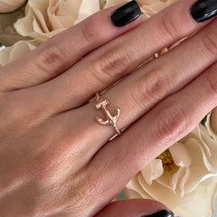 Adjustable Anchor Ring