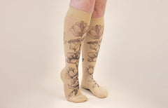 Magnolia Beige Gradient Compression Socks