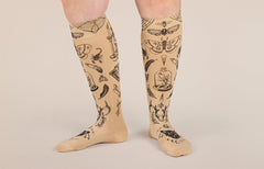 Oddities Beige Gradient Compression Socks